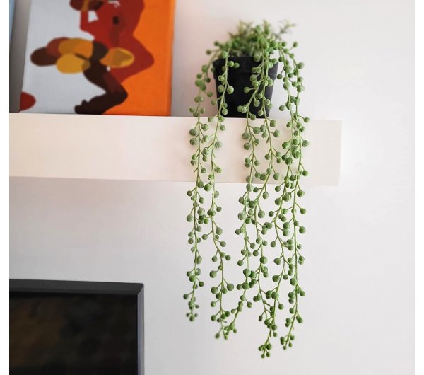 Planta Colgante 50cm Con Maceta 