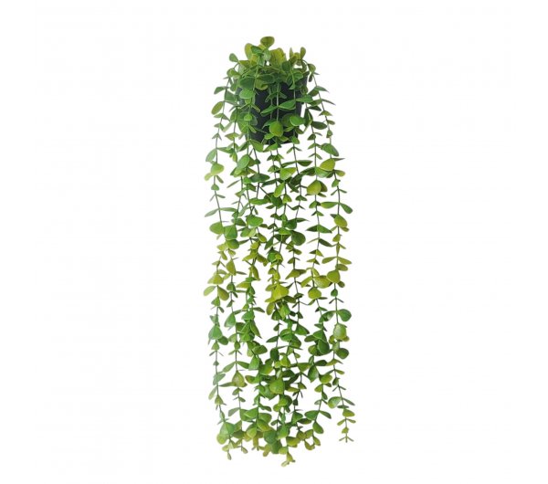 Planta Colgante 60cm Con Maceta