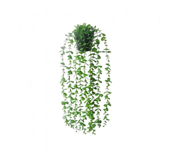 Planta Colgante 60cm