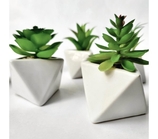 Suculenta Surtida Con Maceta De Ceramica 11x6 Cm