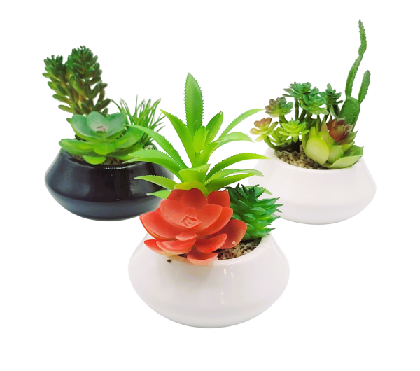 Planta Decorativa Suculenta Con Maceta De Ceramica