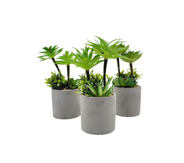 Suculenta Decorativa Con Maceta De Cemento 18x8cm