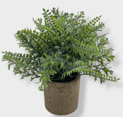 Planta Decorativa 22cm