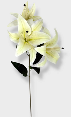Vara De Liliun 80cm