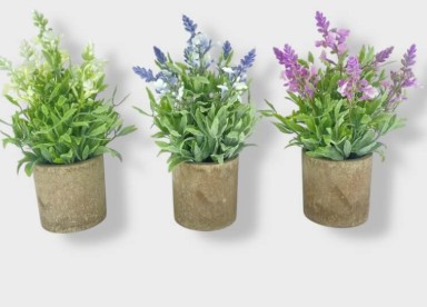 Maceta De Lavanda