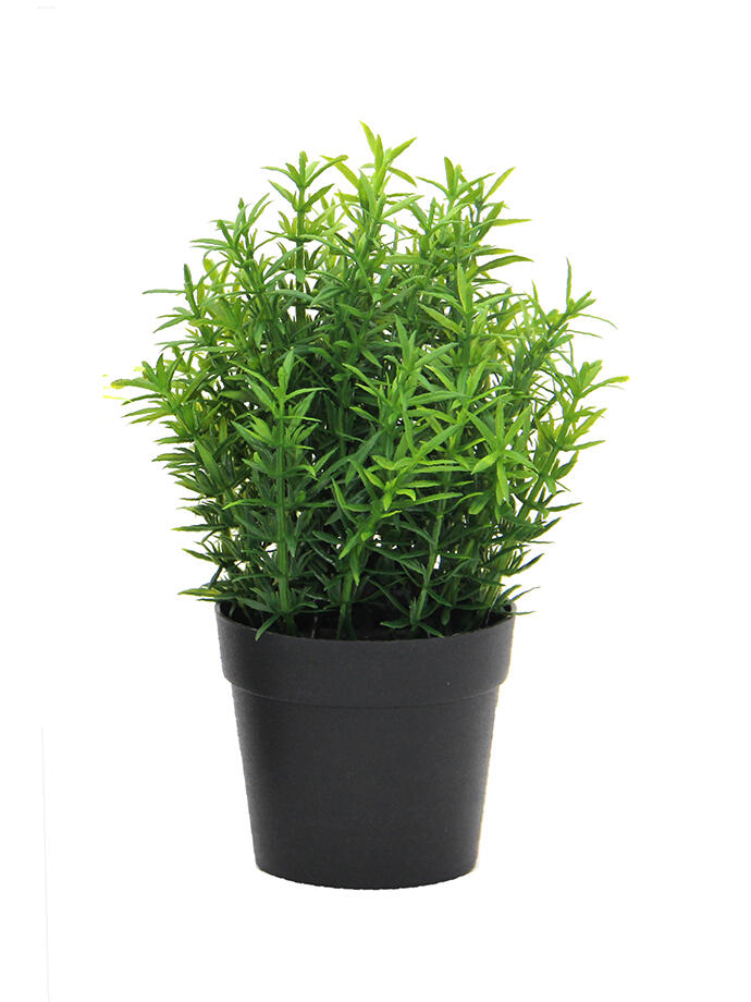 Planta Decorativa 20cm