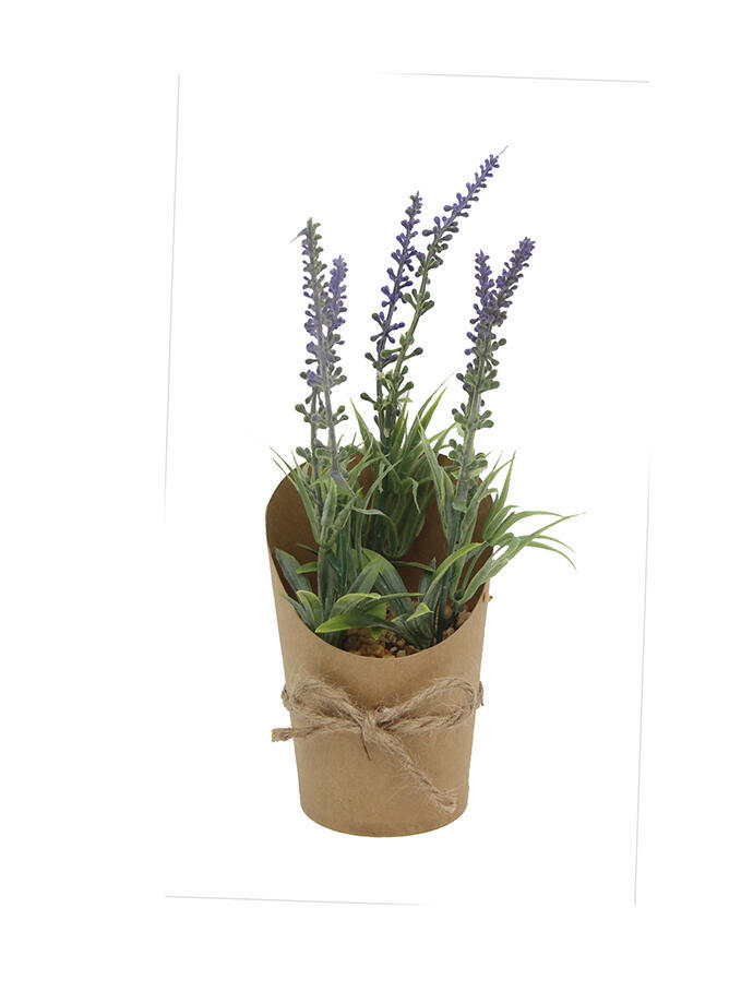 Planta Decorativa De Lavanda