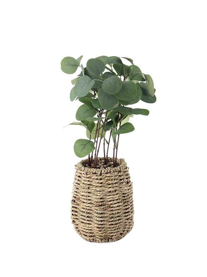 Planta Decorativa Con Maceta De Yute 40cm