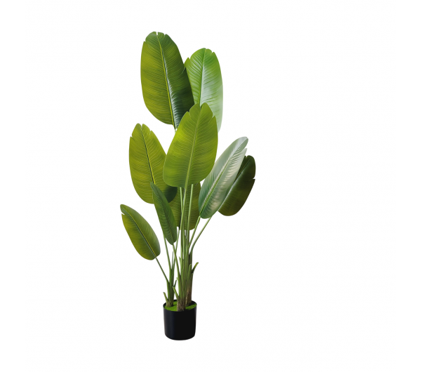 Planta Decorativa Banano 160cm 