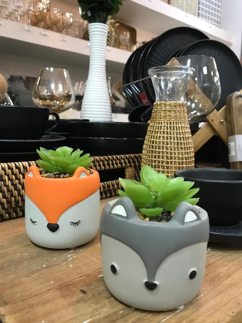 Plantitas Surtidas Con Maceta De Zorro