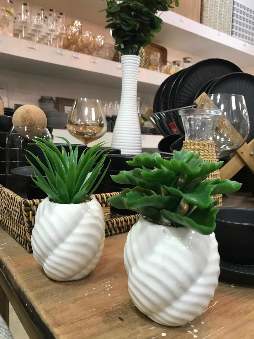 Plantas Surtidas Con Maceta De Ceramica