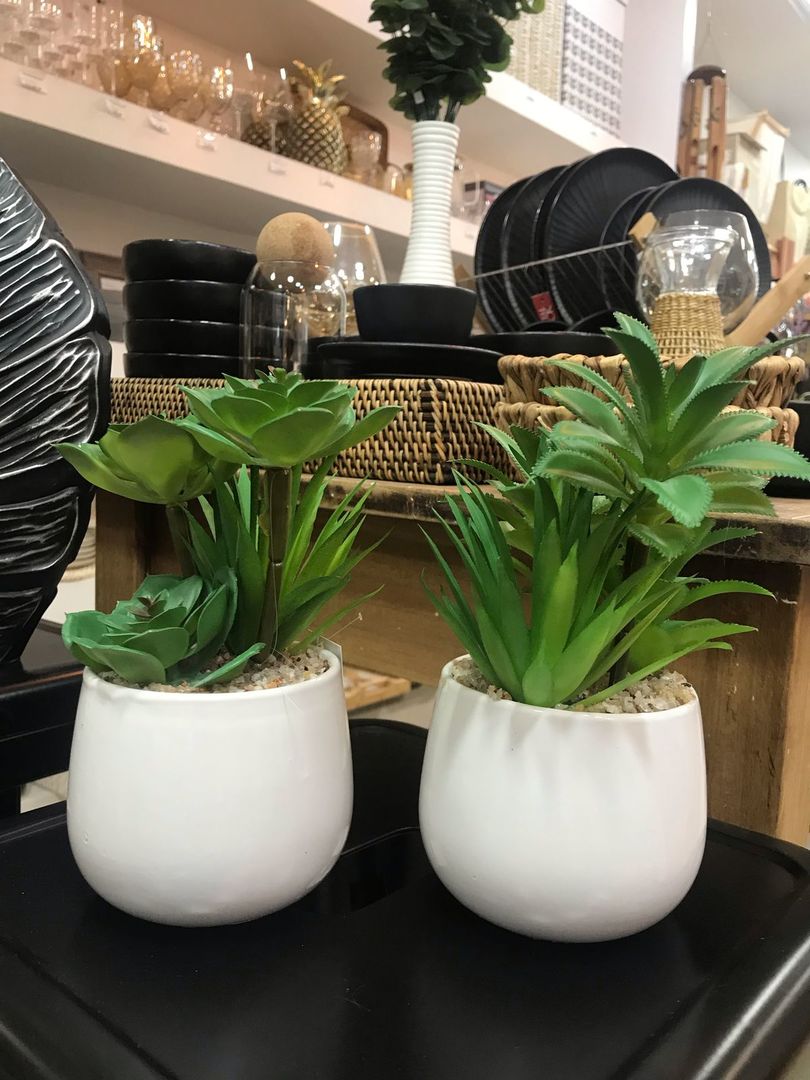 Plantitas Surtidas Decorativas Maceta De Ceramica