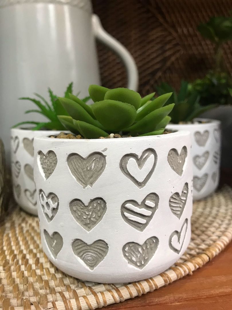 Planta Decorativa Surtida Con Maceta De Cemento