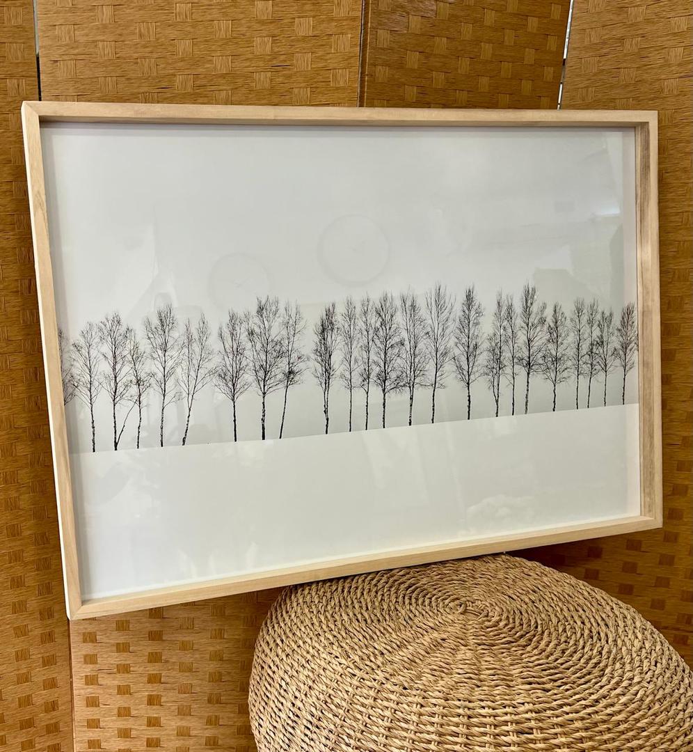Cuadro De Pinos 70x100