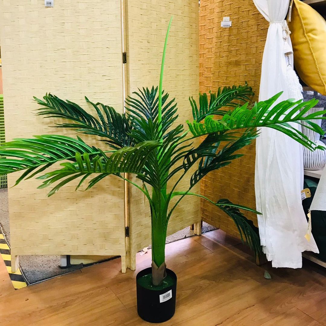 Planta Areca 120cm Con Maceta