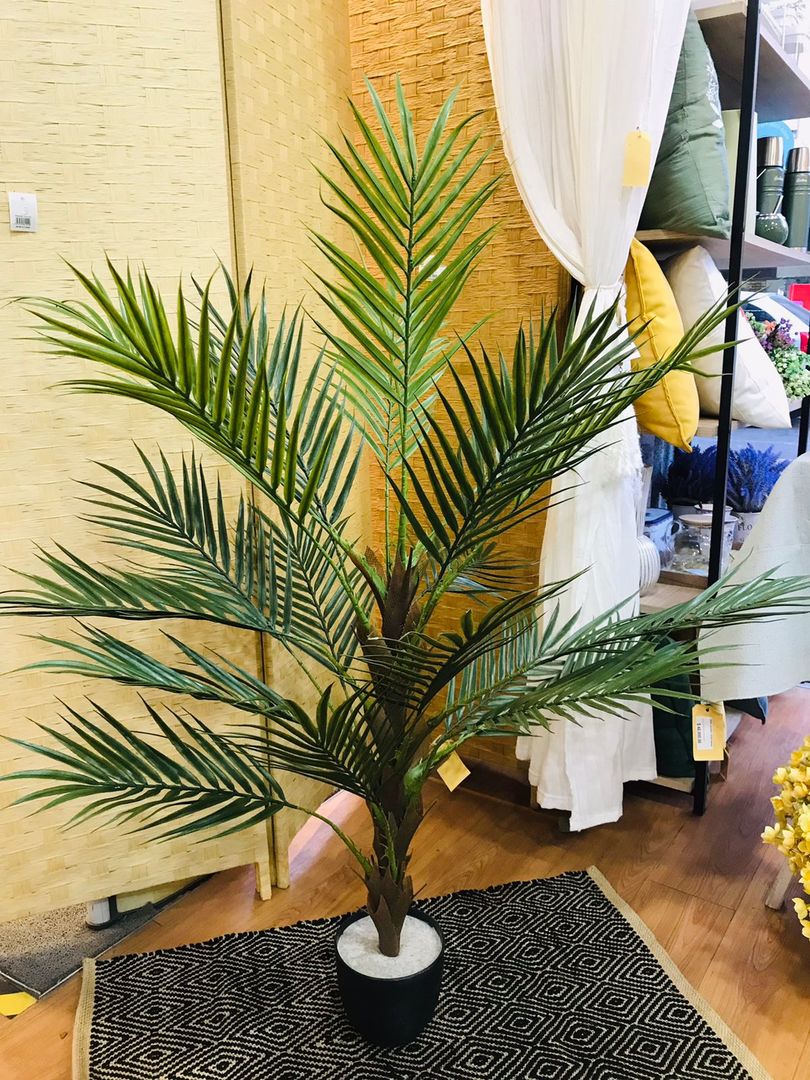 Planta Areca Con Maceta 120cm