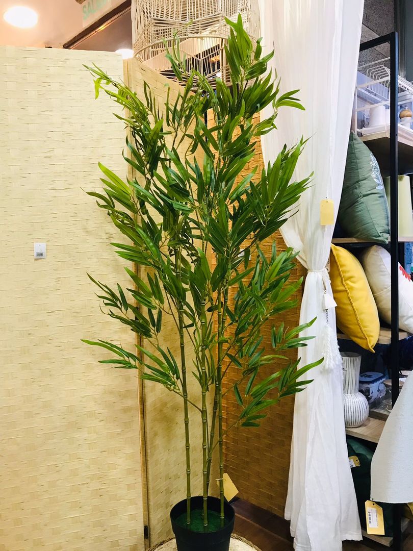 Planta De Bambu Con Maceta 150cm