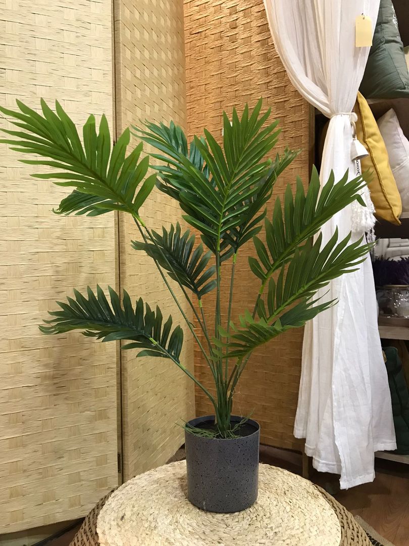 Planta Areca En Maceta 65cm