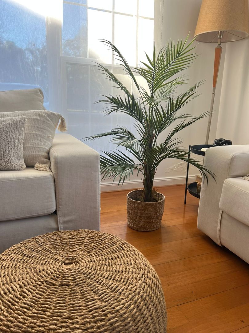 Planta Areca Con Maceta 120cm
