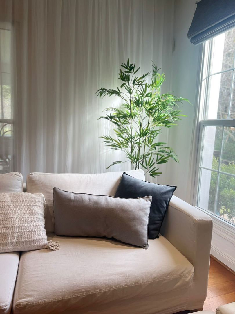 Planta De Bambu Con Maceta 150cm