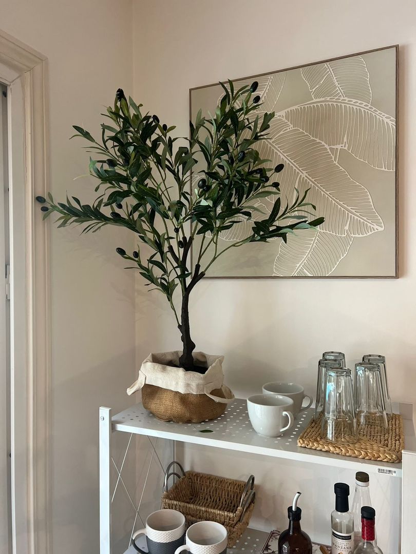 Planta De Olivo Con Maceta 90cm