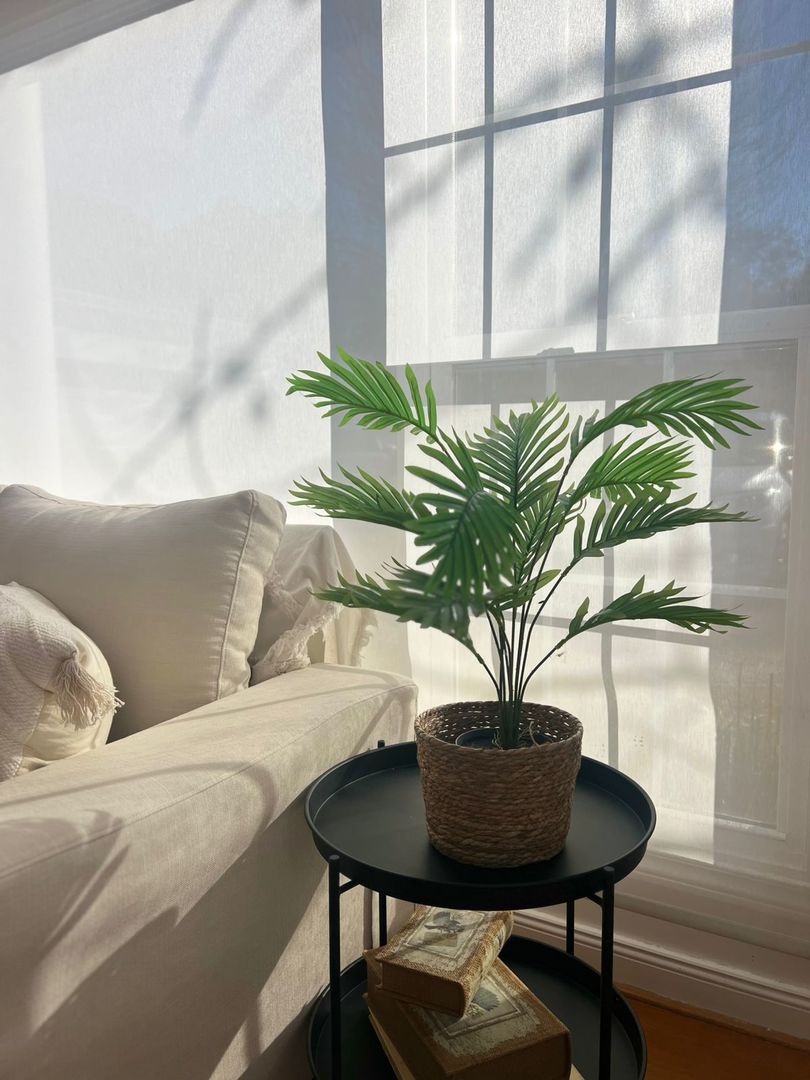 Planta Areca En Maceta 65cm